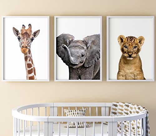 Set aus 3 Realistisch Safaritieren für Kinderzimmer von Jungen und Mädchen, Ungerahmter Druck, Schlafzimmerdekor, Kinder Wandkunst, Dekor im Babyzimmer, Spielzimmer-Poster, giraffe löwe elefant (A3) von Eviepops Prints
