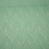 Elastische Spitze Amelie mint Elastische Spitze Amelie mint von Evlis Needle