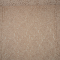 Elastische Spitze Amelie nude Elastische Spitze Amelie nude von Evlis Needle