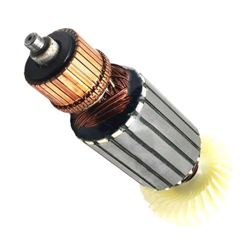 Evzvwruak 220-240V 6 Zähne Motor Anker Rotor für CS23-355 310009340 Bohrer Hammer Zähne Motor Rotor Power Zubehör Komponente Evzvwruak 220-240V 6 Zähne Motor Anker Rotor für CS23-355 310009340 Bohrer Hammer Zähne Motor Rotor Power Zubehör Komponente von Evzvwruak