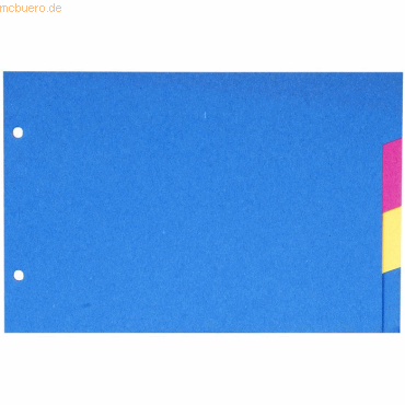 10 x Exacompta Register 125x200mm Manila-Karton 180g 4-teilig blanko f 10 x Exacompta Register 125x200mm Manila-Karton 180g 4-teilig blanko f von Exacompta
