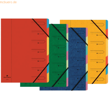 12 x Exacompta Ordnungsmappe Nature Future A4 7-teilig farbig sortiert von Exacompta