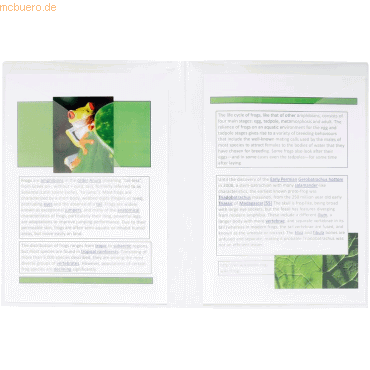 2 x Exacompta Präsentationsmappe A4 doppelseitig 0,2mm VE=10 Stück gla von Exacompta