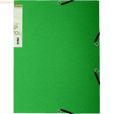 25 x Exacompta Eckspannmappe A4 380g/qm Karton hellgrün/dunkelgrün 25 x Exacompta Eckspannmappe A4 380g/qm Karton hellgrün/dunkelgrün von Exacompta