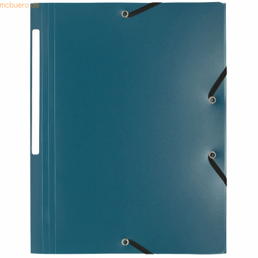 50 x Exacompta Eckspannmappe A4 PP 500my grün 50 x Exacompta Eckspannmappe A4 PP 500my grün von Exacompta