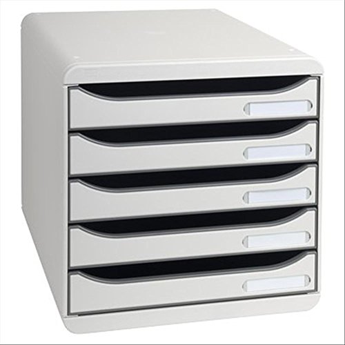 Exacompta 309740D Premium Ablagebox mit 5 Schubladen für DIN A4+ Dokumente. Stapelbare Schubladenbox mit hoher Kapazität für mehr Platz auf dem Schreibtisch Big Box Plus Office Lichtgrau von Exacompta