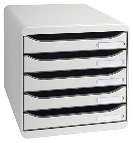 Exacompta 309740D Premium Ablagebox mit 5 Schubladen für DIN A4+ Dokumente. Stapelbare Schubladenbox mit hoher Kapazität für mehr Platz auf dem Schreibtisch Big Box Plus Office Lichtgrau von Exacompta