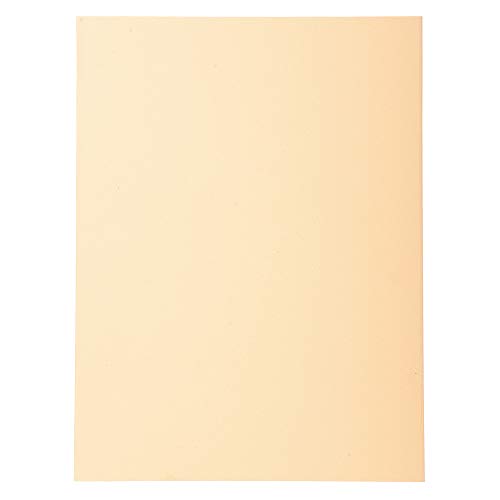 Exacompta 420002E 100er Pack Aktendeckel Forever® 170 g/m2 Aus Recycling-Karton für DIN A4 Blauer Engel ideal für die lose Blatt-Ablage sand Sammelmappe Dokumentenmappe von Exacompta