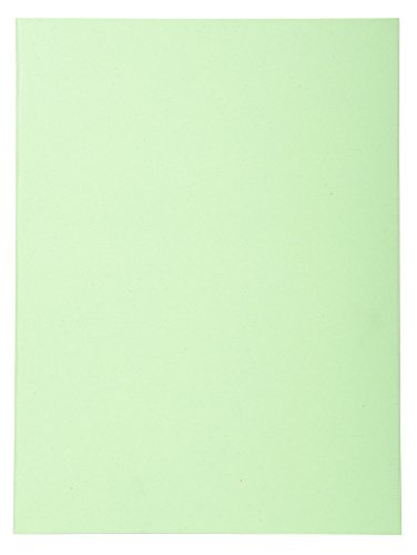Exacompta 420013E 100er Pack Aktendeckel Forever® 170 g/m2 Aus Recycling-Karton für DIN A4 Blauer Engel ideal für die lose Blatt-Ablage intensivgrün Sammelmappe Dokumentenmappe von Exacompta