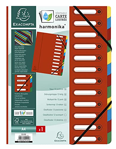 Exacompta 55125E Premium Ordnungsmappe Harmonika. Aus extra starkem Colorspan-Karton DIN A4 12 Fächer und 2 Gummizüge mit Indexfenster und dehnbarem Rücken Register-Mappe rot von Exacompta
