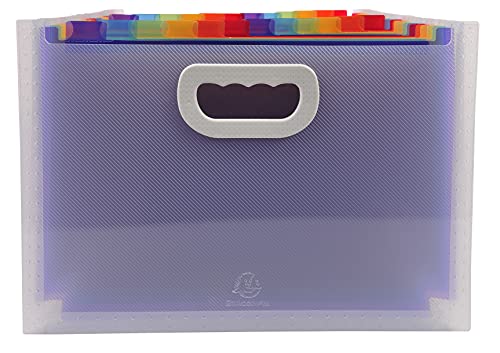 Exacompta 55198E Premium Kunststoff-Fächermappe Crystal mit Tragegriffen für DIN A4 24 vollfarbige Fächer, 2 Etikettenhalter für Visitenkarten inklusive 2 Etikettenbögen, Ordnungsmappe transparent Exacompta 55198E Premium Kunststoff-Fächermappe Crystal mit Tragegriffen für DIN A4 24 vollfarbige Fächer, 2 Etikettenhalter für Visitenkarten inklusive 2 Etikettenbögen, Ordnungsmappe transparent von Exacompta