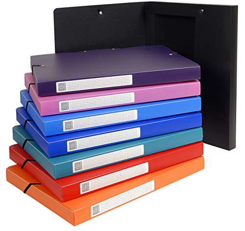 Exacompta 5960E Packung (mit 8 Archivboxen aus PP, 700µ, 24 x 32cm, ideal für Ihre Dokumente in Format DIN A4, Rücken 25mm) farbig sortiert, 8 Stück von Exacompta