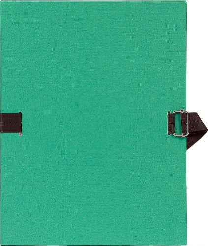 Exacompta 723E Dokumentenmappe (Dehnbarer Faltenrücken, kaschierter Karton, gefärbter stoffeinband, Format DIN A4) 1 Stück hellgrün von Exacompta
