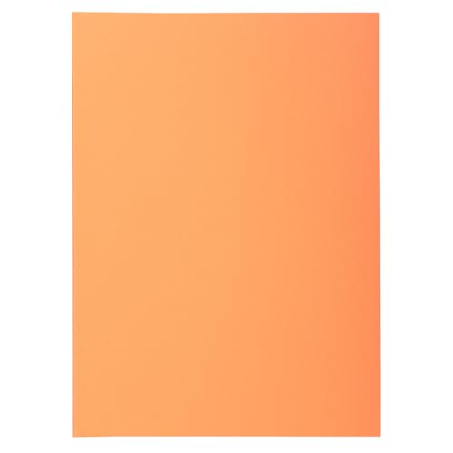 Exacompta - 850102E - Karton mit 10 Paketen mit je 100 Untermappen SUPER 60 g/m² in Pastellfarben - PEFC™ zertifizierte Dokumentenmappen - Maße 22 x 31 cm für DIN A4 - Farbe Blase von Exacompta