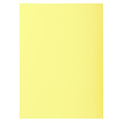 Exacompta - 850105E - Karton mit 10 Paketen mit je 100 Untermappen SUPER 60 g/m² in Pastellfarben - PEFC™ zertifizierte Dokumentenmappen - Maße 22 x 31 cm für DIN A4 - Farbe Kanarienrot von Exacompta