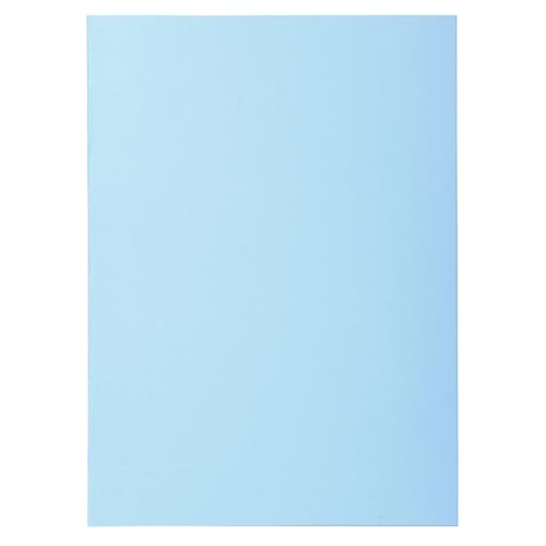 Exacompta - 850106E - Karton mit 10 Paketen mit je 100 Untermappen SUPER 60 g/m² in Pastellfarben - PEFC™ zertifizierte Dokumentenmappen - Maße 22 x 31 cm für DIN A4 - Farbe hellblau von Exacompta