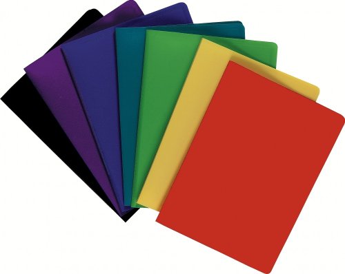 Exacompta 8540E Sichtmappe OPAK aus blickdichtem Kunststoff DIN A4 mit 40 Klarsichthüllen, 80 Sichten, perfekt für die Schule und das Büro Aktenhülle, Prospekthülle, 1 Stück Zufallsfarbe von Exacompta