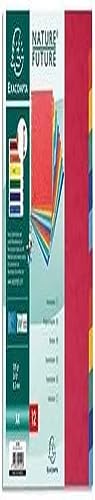 Exacompta 99H Premium-Register Nature Future für DIN A4 aus extra starkem Colorspankarton 12-teilig volle Höhe 21 x 29,7 cm vollfarbig 2 x 6 Farben mit Indexseite zum selbstgestalten Trennblätter von Exacompta