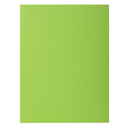 Exacompta - Art.-Nr. 216013E – Karton mit 5 Packungen mit je 50 festen Mappen mit 2 Klappen Rock''S 210 g/m² – leuchtende Farben – PEFC™-zertifizierte Mappen – Maße: 24 x 32 cm für DIN A4 – Farbe Grün von Exacompta