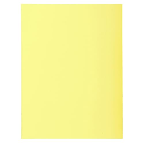 Exacompta - Art.-Nr. 332005E - Karton mit 5 Packungen mit je 50 Schnellhefter mit 2 Klappen SUPER 210 g/m² - Pastellfarben - PEFC™ zertifizierte Mappen - Maße: 24 x 32 cm für DIN A4 - Farbe von Exacompta