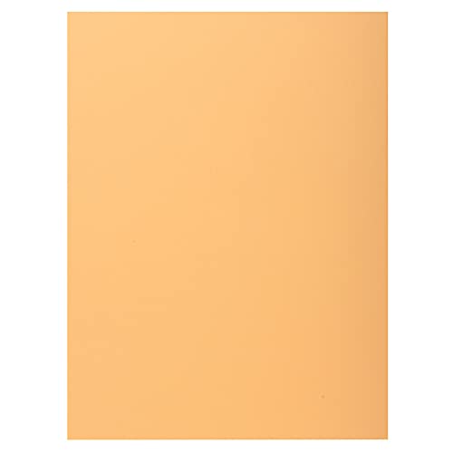 Exacompta - Art.-Nr. 339002E – Karton mit 5 Packungen mit je 50 Schnellhefter mit 1 Klappe SUPER 210 g/m² – Pastellfarben – PEFC™-zertifizierte Mappen – Maße: 24 x 32 cm für DIN A4 – Farbe Blase von Exacompta