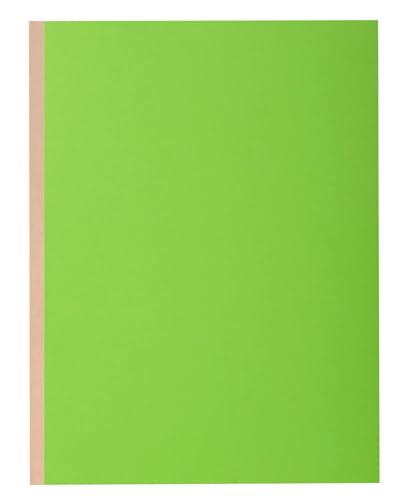 Exacompta - Art.-Nr. 416007E – Karton mit 10 Paketen mit 10 festen Aktentaschen Rock''S 320 g/m² – Rücken 30 mm – PEFC™-zertifizierte Mappen – Maße: 24 x 32 cm für DIN A4 – Farbe Grün von Exacompta