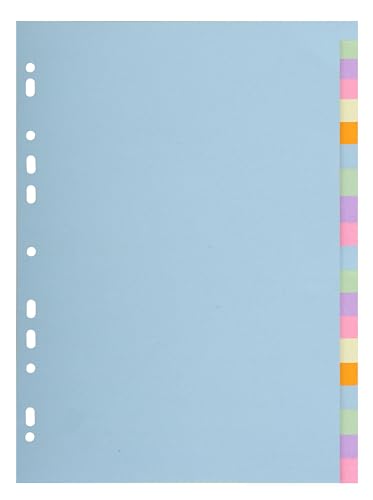 Exacompta - Ref. 2620E - 1 Forever 170g/m2 Pastellkarton mit 20 neutralen Laschen - A4-Format - Abmessungen 22,5 x 29,7 cm - sortierte Pastellfarben Exacompta - Ref. 2620E - 1 Forever 170g/m2 Pastellkarton mit 20 neutralen Laschen - A4-Format - Abmessungen 22,5 x 29,7 cm - sortierte Pastellfarben von Exacompta