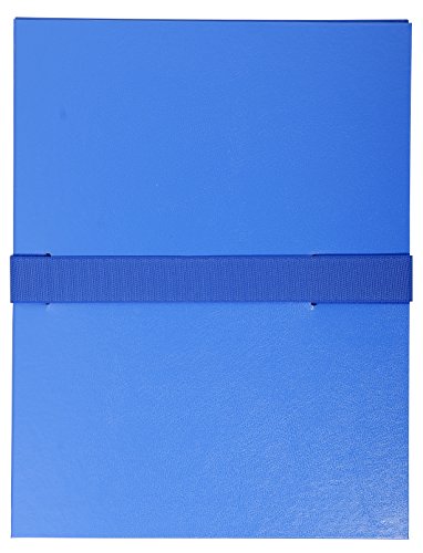 Exacompta - Ref. 2642E – Karton mit 10 Dokumentenmappen, ausziehbar, ohne Klappe – Klettverschluss – Kapazität 1000 Blatt – Maße: 24 x 32 cm – für DIN A4 – Blau von Exacompta