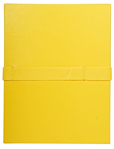 Exacompta - Ref. 2649E – Karton mit 10 Dokumentenmappen, ausziehbar, ohne Klappe – Klettverschluss – Kapazität 1000 Blatt – Maße: 24 x 32 cm – für DIN A4 – Gelb Exacompta - Ref. 2649E – Karton mit 10 Dokumentenmappen, ausziehbar, ohne Klappe – Klettverschluss – Kapazität 1000 Blatt – Maße: 24 x 32 cm – für DIN A4 – Gelb von Exacompta