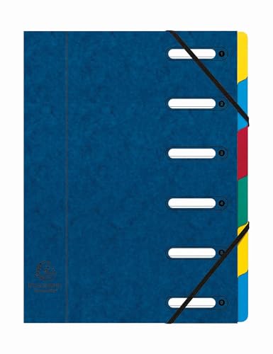 Exacompta - Ref. 5306E – Karton mit 8 Ordnern Harmonika – mit Gummibändern und ausgeschnittenen Fenstern – Deckel aus glänzendem Karton – erweiterbare Rückseite – 6 Fächer – für A4 – Maße: 24,5 x 32 von Exacompta
