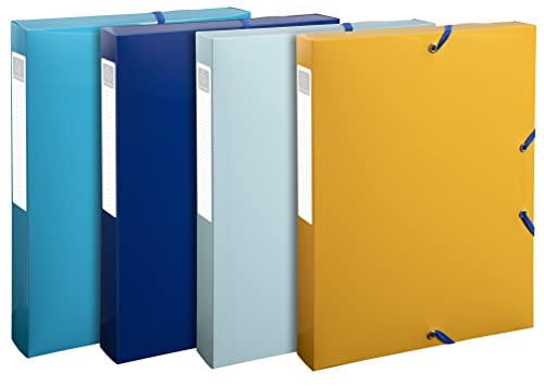 Exacompta - Ref. 59140E - 8 Ordner mit Gummibändern Bee Blue - aus recyceltem Polypropylen - Rücken 4 cm - Maße 25 x 33 cm - für A4 - farblich sortiert - fertig montiert Exacompta - Ref. 59140E - 8 Ordner mit Gummibändern Bee Blue - aus recyceltem Polypropylen - Rücken 4 cm - Maße 25 x 33 cm - für A4 - farblich sortiert - fertig montiert von EXACOMPTA