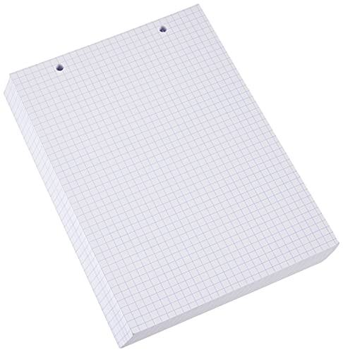 Paquet 100 Fiches Bristol Format Sous Film - Blanc Quadrille 5x5 Perfore 148x210mm von Exacompta