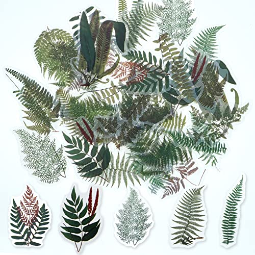 ExceLife Retro-Farnblätter-Aufkleber-Set, selbstklebend, PET, transparent, wasserdicht, Farnblätter, Aufkleber für Scrapbooking, Tagebuch, Album, Handyhülle, Laptop, Kartenherstellung, 40 Stück ExceLife Retro-Farnblätter-Aufkleber-Set, selbstklebend, PET, transparent, wasserdicht, Farnblätter, Aufkleber für Scrapbooking, Tagebuch, Album, Handyhülle, Laptop, Kartenherstellung, 40 Stück von ExceLife