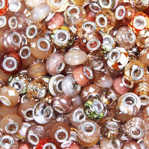 150 Stück europäische Perlen mit großem Loch, verschiedene europäische Bastelperlen, braune große Löcher, Feenstäbe, Gartenperlen, großes Loch, Lampwork-Abstandshalter für DIY-Stifte, Charms 150 Stück europäische Perlen mit großem Loch, verschiedene europäische Bastelperlen, braune große Löcher, Feenstäbe, Gartenperlen, großes Loch, Lampwork-Abstandshalter für DIY-Stifte, Charms von Exway