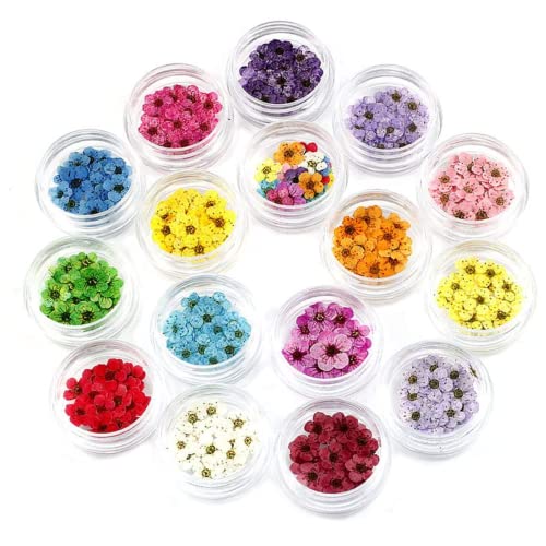 Eyccier Getrocknete Blumen Nagelkunst Scheiben Mini Natural Blumen Sternformen Nagelaufkleber Harzzubehör für Dekoration DIY Craft 16pcs Eyccier Getrocknete Blumen Nagelkunst Scheiben Mini Natural Blumen Sternformen Nagelaufkleber Harzzubehör für Dekoration DIY Craft 16pcs von Eyccier