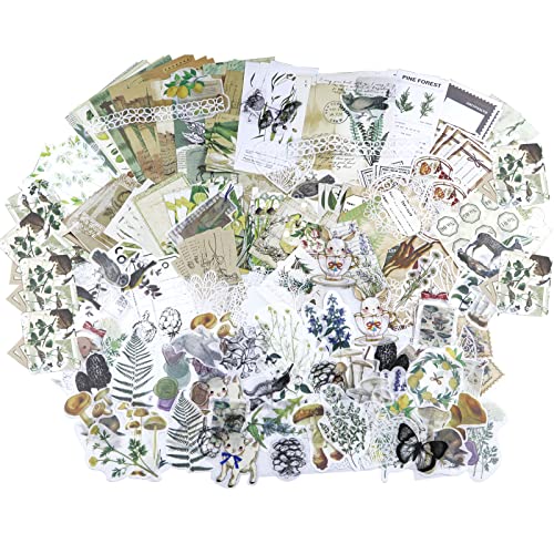 Scrapbook Aufkleber 260 Stück Vintage Blume Pflanze Aufkleber Supplies Antik Natur Dekorative Abziehbilder für DIY Scrapbooking Journal Bullet Planer Notebook Karte Markierung Flasche Bilderrahmen Scrapbook Aufkleber 260 Stück Vintage Blume Pflanze Aufkleber Supplies Antik Natur Dekorative Abziehbilder für DIY Scrapbooking Journal Bullet Planer Notebook Karte Markierung Flasche Bilderrahmen von Eyerayo
