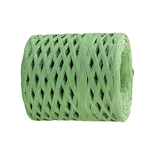F Fityle Bast Papierband 200m zum Häkeln, Natur Raffia Papierband, Buntes Papiergarn, Bast Band Geschenkband Mehrfarbig für Handwerksprojekte Verpackung Festival Geschenkbox Wrapping, GRÜN F Fityle Bast Papierband 200m zum Häkeln, Natur Raffia Papierband, Buntes Papiergarn, Bast Band Geschenkband Mehrfarbig für Handwerksprojekte Verpackung Festival Geschenkbox Wrapping, GRÜN von F Fityle