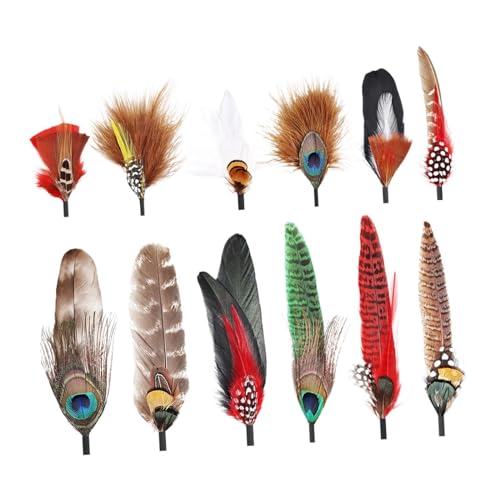 F Fityle Hutfedern, Verschiedene Federn für Fedora-Hüte, Accessoires, DIY-Bastelarbeiten, Western-Cowboyhüte, Weihnachtsparty-Hüte, Herrenhut, Stil D F Fityle Hutfedern, Verschiedene Federn für Fedora-Hüte, Accessoires, DIY-Bastelarbeiten, Western-Cowboyhüte, Weihnachtsparty-Hüte, Herrenhut, Stil D von F Fityle