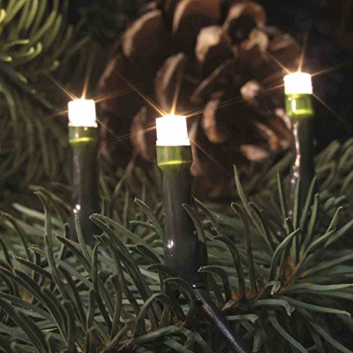 LED Lichterkette f.innen,100er warmweiss von FHS
