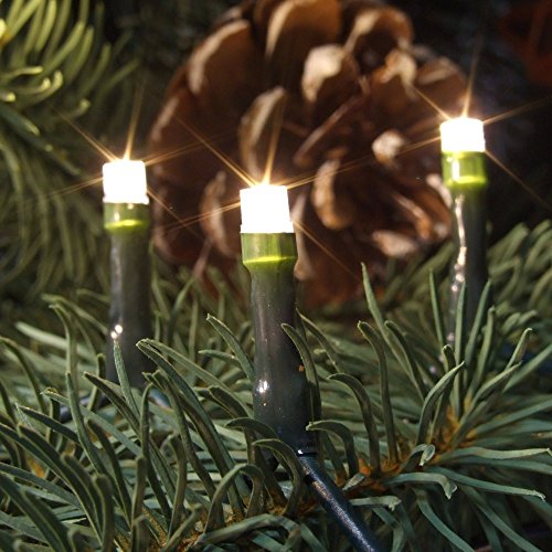 Star-Max Lichterkette mit 400 warmweißen LEDs, IP44, 40m von FHS