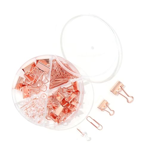 Set aus Büroklammern Dokumentenklammern Pinnnadeln – Metallclips in Verschiedenen Größen mit Aufbewahrungsbox für Büro Schule Zuhause (Rosegolden) von F&Y