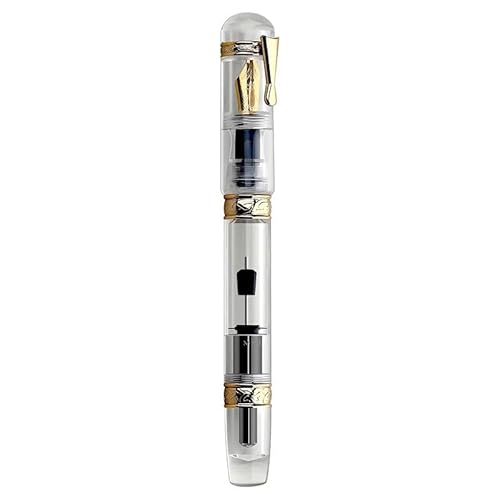 FACDEM Füllfederhalter, transparent, auslaufsicher, große Kapazität, universal, für Geschäftsleute, Schreiben, Farbtinte, Iridium-Stift (F) von FACDEM