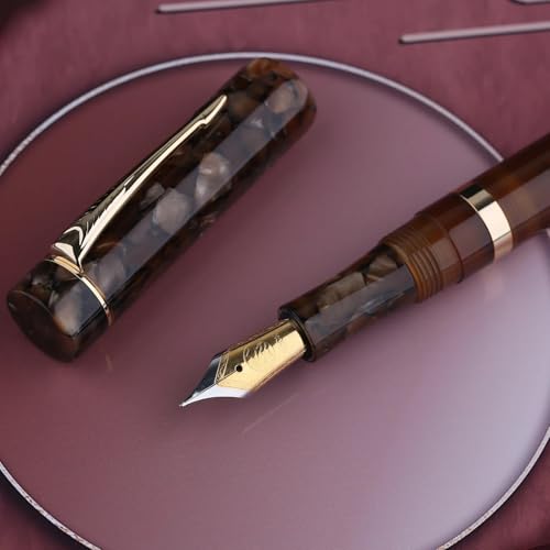 FACDEM Füllfederhalter aus Kunstharz, Nr. 6, feine Spitze, 0,5 mm, mit Konverter, goldener Clip, schöner Schreibstift (4 Stück, mit Geschenkbox) von FACDEM