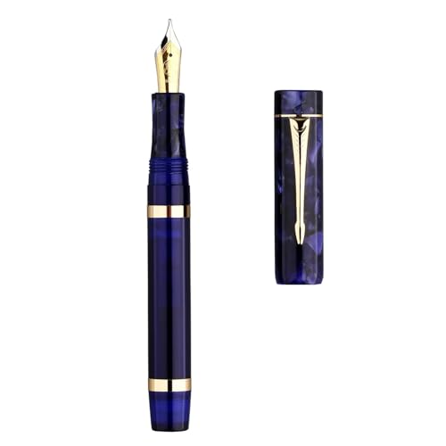 FACDEM Füllfederhalter aus Kunstharz, Nr. 6, feine Spitze, 0,5 mm, mit Konverter, goldener Clip, schöner Schreibstift (Violett, nur ein Stift) von FACDEM