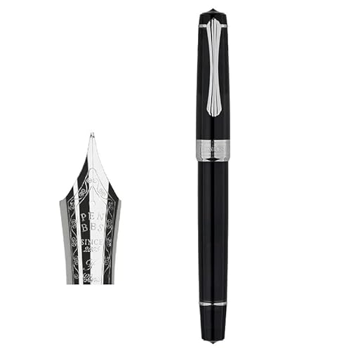 FACDEM Kolben Sleek Füllfederhalter-Klinge/runde Feder, Tintenabsorbierend, große Kapazität, transparentes Acryl, Business-Schreiber, Geschenkstift (E) von FACDEM