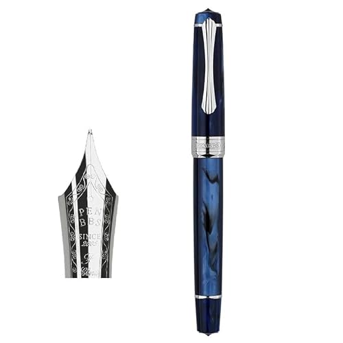 FACDEM Piston Sleek Füllfederhalter-Klinge/runde Feder, Tintenabsorbierend, große Kapazität, transparentes Acryl, Business-Schriftzug, Geschenkstift (G) von FACDEM