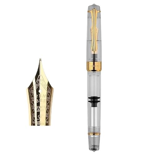 FACDEM Piston Sleek Füllfederhalter-Klinge/runde Feder, Tintenabsorbierend, großes Fassungsvermögen, transparentes Acryl, Business-Schriftzug, Geschenkstift (C) von FACDEM