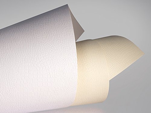20 FALAMBI Premiumkarton Borneo weiß, Papier 220 g/m², bedruckbar, fein geprägter durchgefärbter Karton 20 FALAMBI Premiumkarton Borneo weiß, Papier 220 g/m², bedruckbar, fein geprägter durchgefärbter Karton von FALAMBI