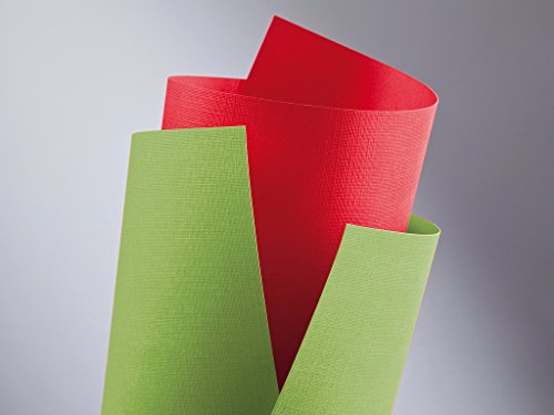 20 FALAMBI Premiumkarton Holland grün, Papier 220 g/m², bedruckbar, fein geprägter durchgefärbter Karton 20 FALAMBI Premiumkarton Holland grün, Papier 220 g/m², bedruckbar, fein geprägter durchgefärbter Karton von FALAMBI