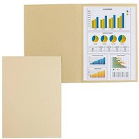 100 FALKEN Aktendeckel DIN A4 chamois 100 FALKEN Aktendeckel DIN A4 chamois von FALKEN